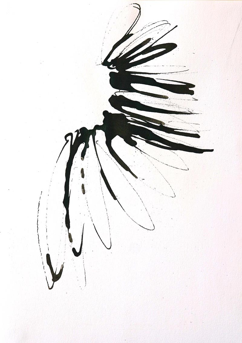 Compression-(Ink-on-paper,2009)